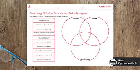 Comparing Diffusion, Osmosis and Active Transport | Beyond