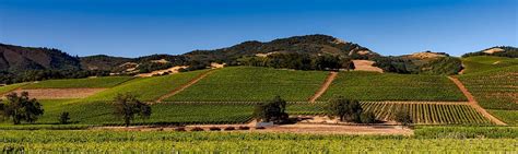 A brief history of wine in California’s Napa Valley | Cult Wines Singapore