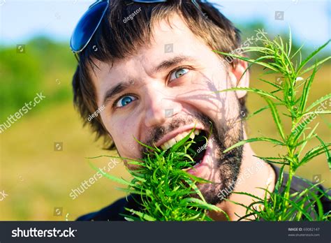 Young Man Eating Leaves Of Hemp. Shoot In The Field Of Marijuana. Stock Photo 69082147 ...