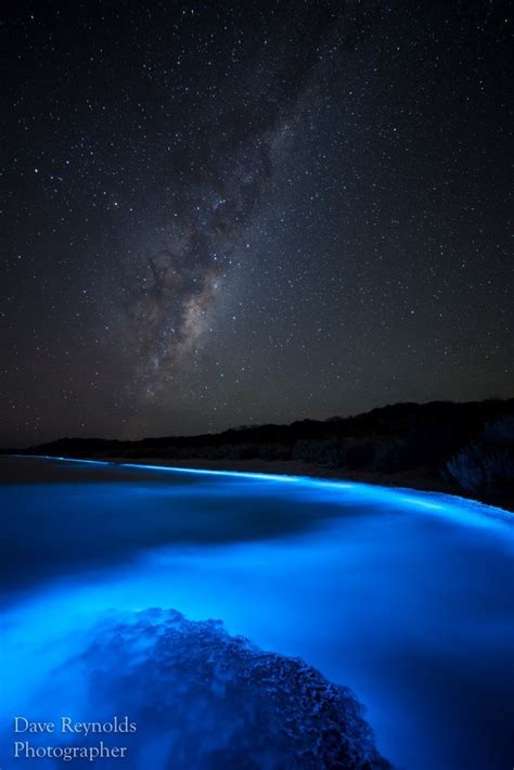 Sea Sparkle - Extreme Bioluminescence in Tasmanian Waters | Tasmanian ...