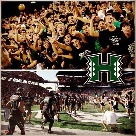 Go Warriors! | University of hawaii, Student life, Rainbow warrior