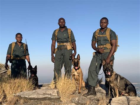 A Specialised K9 Unit in Action! | Conservation Lower Zambezi