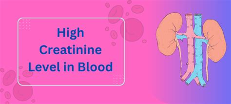High Creatinine Level in Blood - Causes, Symptom & Diagnose