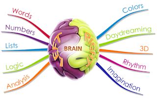 Techniques For Midbrain Activation | by Vedakothawade | Medium