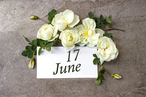 June 17th. Day 17 of Month, Calendar Date. White Roses Border on Pastel ...