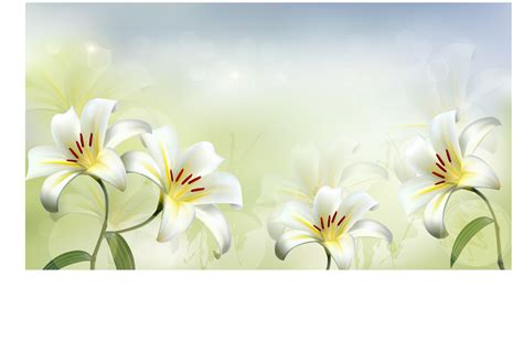 Beautiful white flower vector background 02 free download