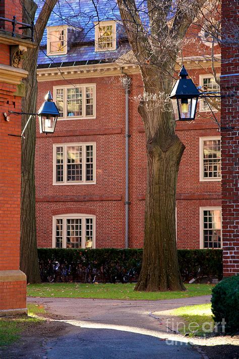 Harvard University Buildings Photograph by Jannis Werner - Fine Art America