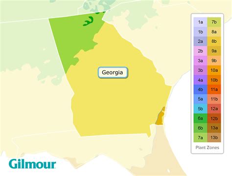 Georgia Planting Zones-Growing Zone Map | Gilmour | New Place