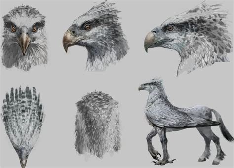 Hippogriff - Drawing Skill