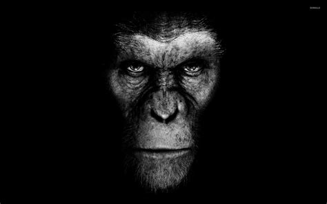 Caesar Planet Of The Apes Wallpapers - Wallpaper Cave