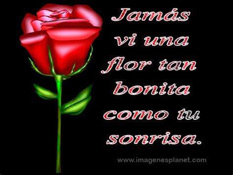 Imagenes gif de rosas con frases de amor