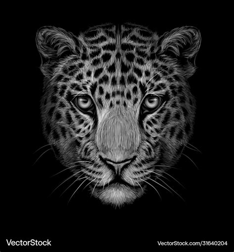 Monochrome black and white portrait jaguar loo Vector Image