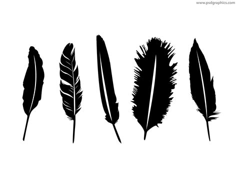 Feather vector png, Feather vector png Transparent FREE for download on WebStockReview 2024