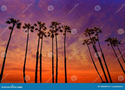 California Palm Trees Sunset with Colorful Sky Stock Photo - Image of ...