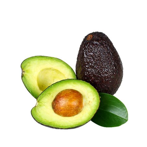 Avocado Food Fruit Hair - Avocado png download - 1667*1667 - Free Transparent Avocado png ...