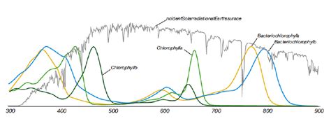 Solar Spectrum utilization in photosynthesis. The solar spectrum... | Download Scientific Diagram