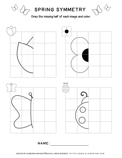 Symmetry Drawing Worksheets