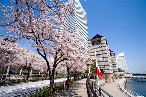 10 Best Hotels In Yokohama, Japan - Updated 2020 | Trip101