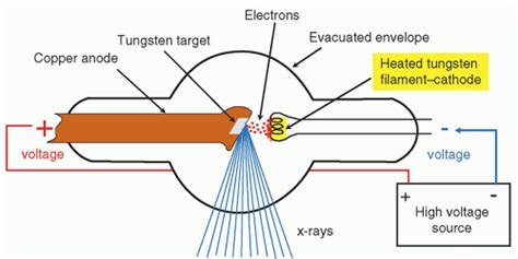 X Ray Tube – Telegraph