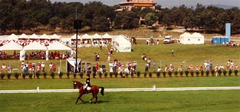 Lipizzan stallions: The History of the Lipizzaner classical dressage ...