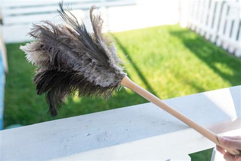 How to Clean a Feather Duster (and Other Duster Types)