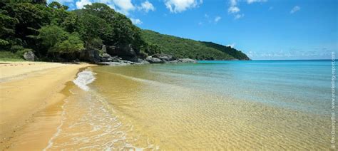 Snorkeling Vietnam | A Guide to the Best Spots | Snorkeling Report