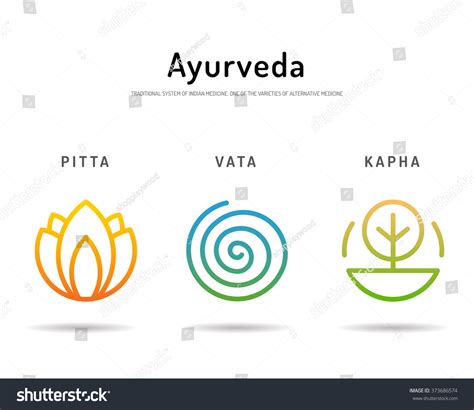 Ayurveda Vector Illustration Ayurvedic Body Types Stock Vector (Royalty Free) 373686574 ...