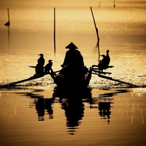 Rowing Oars Wallpaper