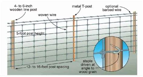 How Far Apart Should Fence Posts Be For Dogs - Get More Anythink's