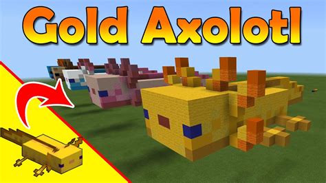 Minecraft Golden Axolotl - Gold Axolotl Statue - Minecraft Mob Build Tutorial - YouTube