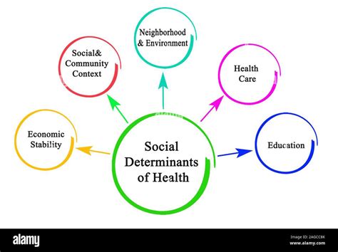 Chart showing the social determinants of health. Source:... | Download ...