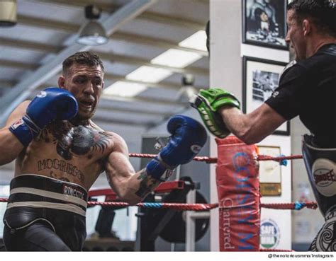 Conor McGregor Ditches MMA Training To Focus On Boxing Floyd Mayweather ...