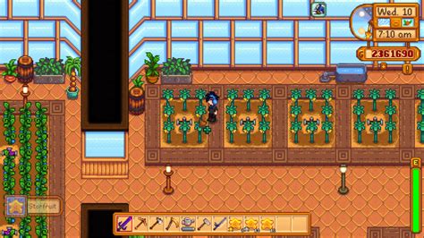 How to Get and How to Use The Starfruit in Stardew Valley? - Stardew ...