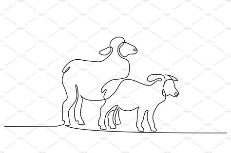 Sheep Line Drawing - Drawing.rjuuc.edu.np