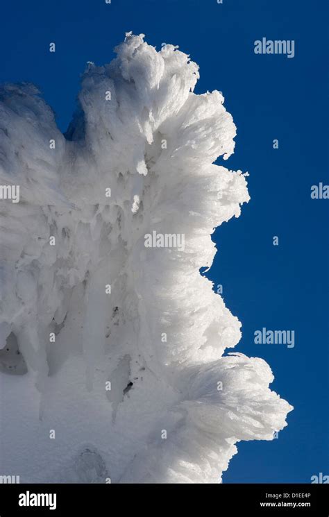 Winter in Bavarian National Park, Germany Stock Photo - Alamy