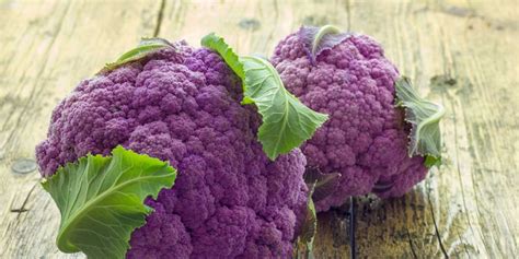 Purple Graffiti Cauliflower in Texas | Everything You Need To Know About Buying, Enjoying and ...