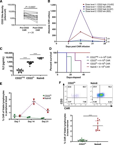 CD22 expression decreases following CD22 CART, and decreased CD22... | Download Scientific Diagram