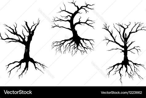 Dead trees with stem and roots Royalty Free Vector Image