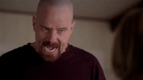 New trending GIF on Giphy | Breaking bad, Walter white, Better call saul