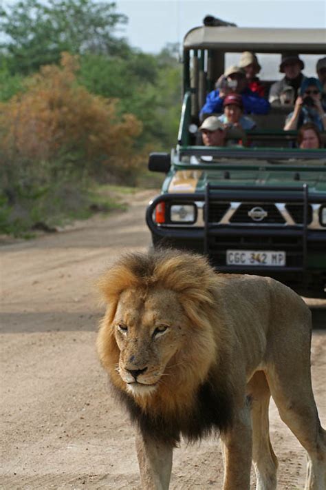 Africa Safari Journey Photos Blog: Kruger National Park Wildlife Animal Reservations