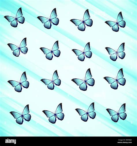 Beautiful blue butterfly pattern,Best as wallpaper,cover and other web use Stock Photo - Alamy