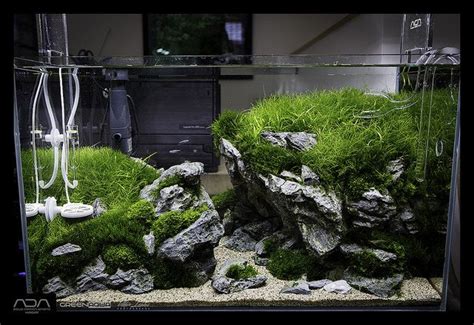 Aquascape Ideas With Rocks And Plants - Aquascape Ideas