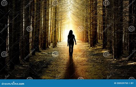 Woman on a Forest Path from Dark To Light Stock Photo - Image of backlit, darkness: 200539750