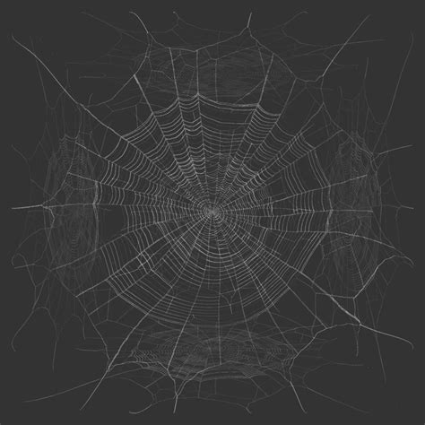 ArtStation - Spider Web / Cobweb Texture