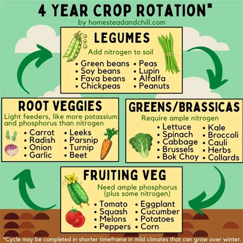 How to Practice Crop Rotation (Garden Benefits Explained) | Food garden, Edible garden, Veg garden