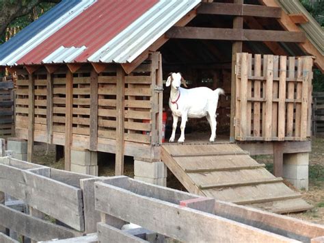 14Pallet Goat Shelter | Домик для коз, Козоводство, Козы