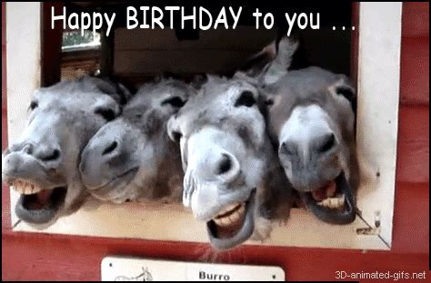 Happy Birthday Funny Images , Quotes , gifs and Wallpapers