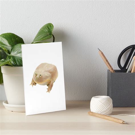 "Fat Frog Meme" Art Board Print for Sale by Bl10728 | Redbubble