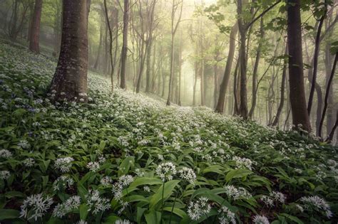 Chris Frost, 2020 Landscape Photographer of the Year - Landscape ...