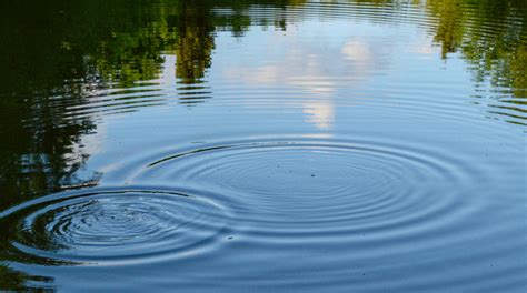 Ripples After We Toss the Pebble | EDUCAUSE